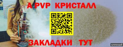 шишки Тара