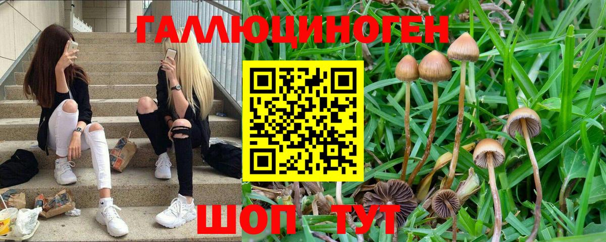 Галлюциногенные грибы прущие грибы  Вход с VPN  Набережные Челны  Галлюциногенные грибы мухоморы 