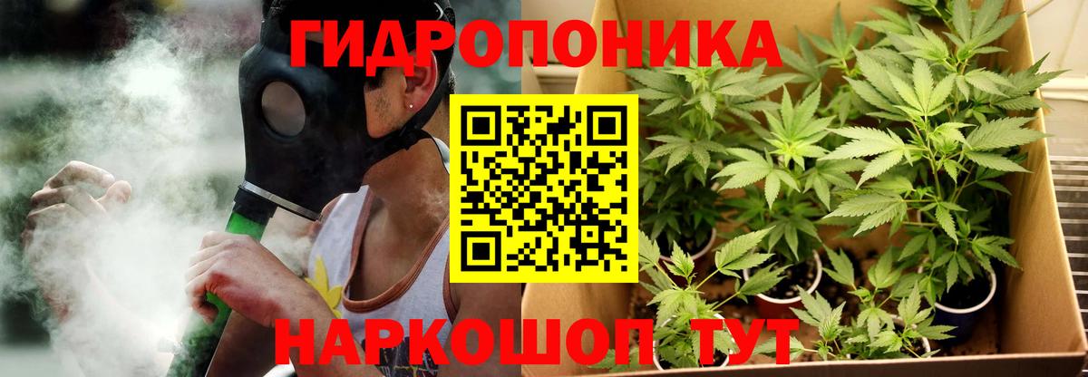 Бошки марихуана сатива Набережные Челны